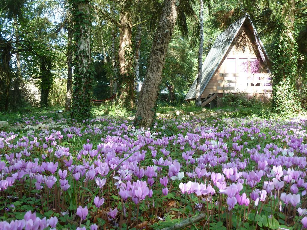 La Rossignolerie - Cabane Aux Oiseaux Chouzy-sur-Cisse Exterior foto