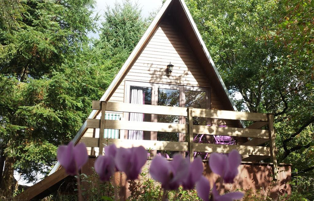 La Rossignolerie - Cabane Aux Oiseaux Chouzy-sur-Cisse Exterior foto